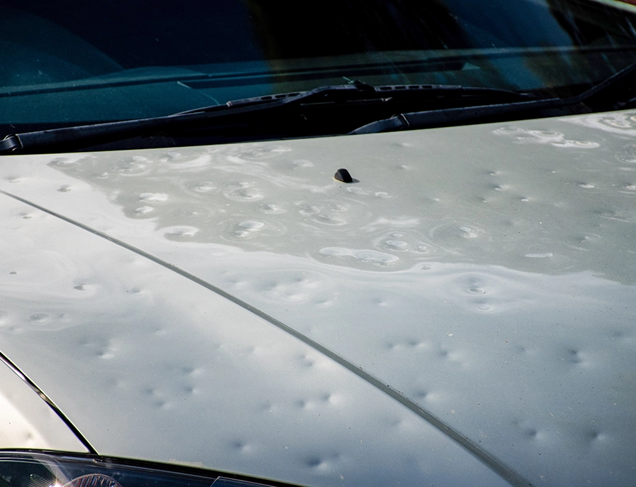 Hail Damage