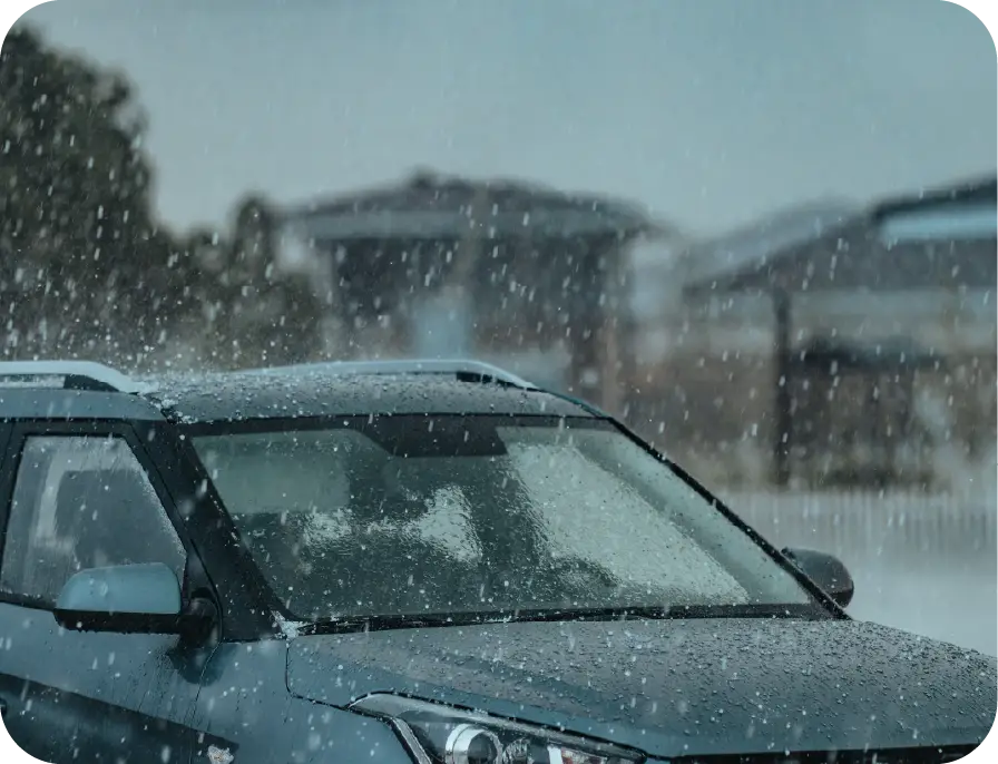 Rain